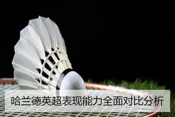 哈兰德英超表现能力全面对比分析