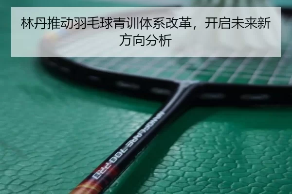 林丹推动羽毛球青训体系改革，开启未来新方向分析